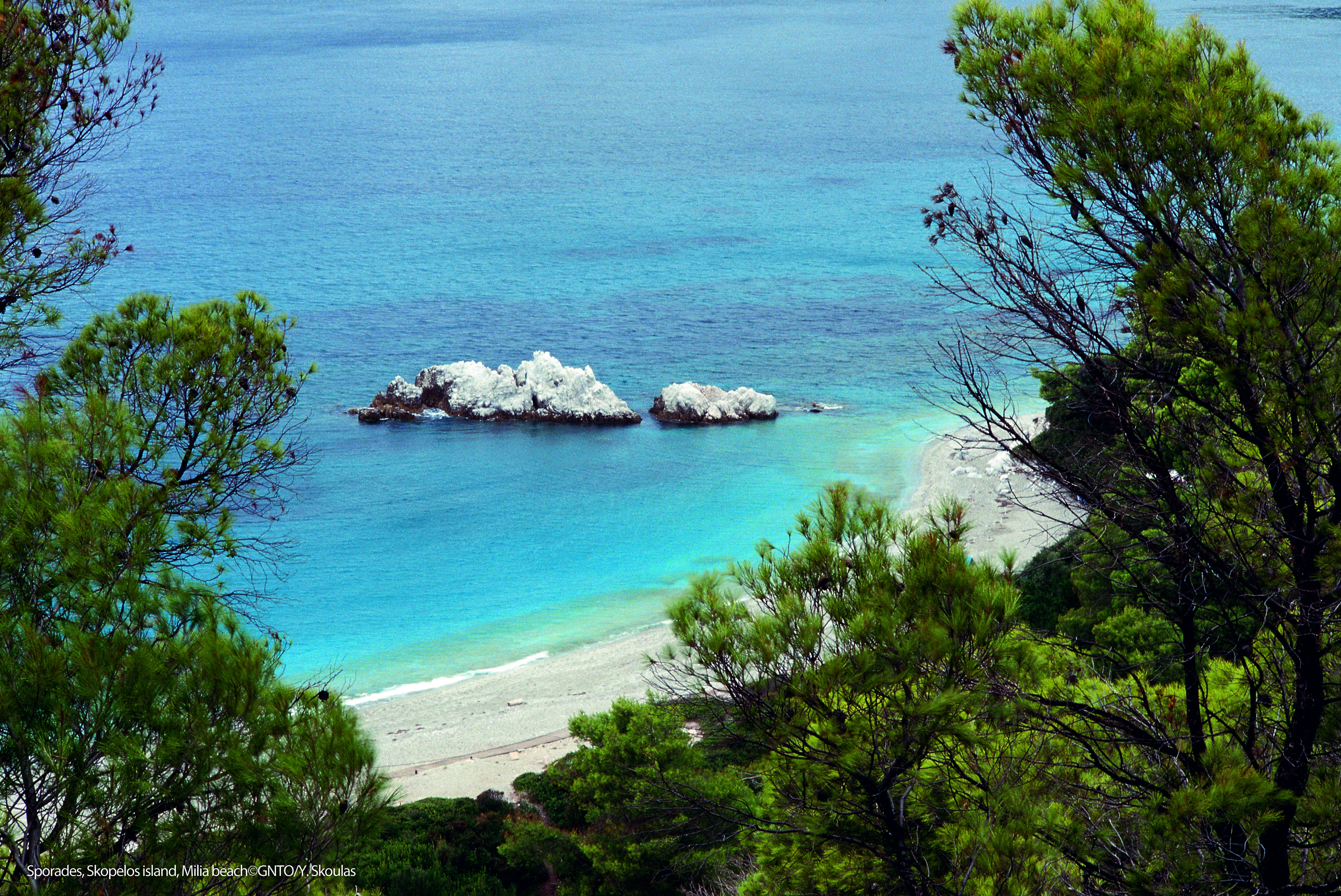 Grèce_Sporades_Skopelos_Y Skoulas GNTO_copyright_ORIG_20170331.jpg